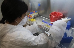 Israel lên kế hoạch thử nghiệm vaccine phòng COVID-19 trên người