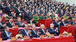 Đồng chí Trần Quốc Vượng dự Đại hội Đảng bộ tỉnh Ninh Bình
