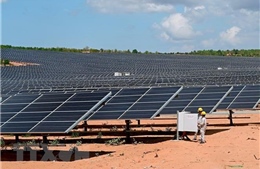 Khánh thành Nhà máy Điện mặt trời Hà Đô Ninh Phước có vốn đầu tư hơn 1.000 tỷ đồng