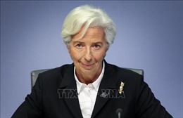 Cuộc &#39;thử lửa&#39; bà C.Lagarde tại ECB