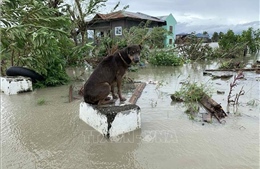 Philippines chuẩn bị ứng phó cơn bão mới sau bão Molave