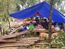 Hỗ trợ người dân Quảng Nam bị thiệt hại do mưa bão