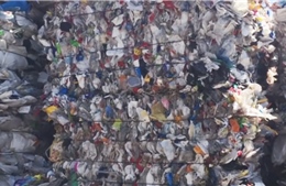 Điều tra 282 container rác thải sinh hoạt nhập khẩu trái phép từ Italia