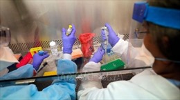 Australia bắt đầu sản xuất vaccine phòng COVID-19