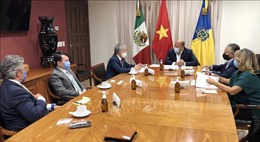 Việt Nam thúc đẩy quan hệ thương mại với bang Jalisco của Mexico