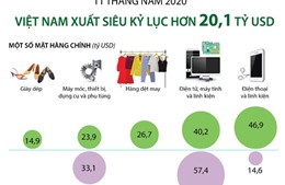 Việt Nam xuất siêu kỷ lục hơn 20,1 tỷ USD trong 11 tháng năm 2020