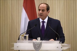Ai Cập khẳng định lập trường ủng hộ Palestine
