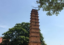 Quy hoạch bảo quản, tu bổ, phục hồi tháp Bình Sơn và đình Thổ Tang