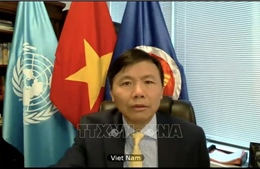 Việt Nam kêu gọi thực thi đầy đủ Thỏa thuận Ngừng bắn dài hạn ở Libya