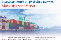 Kim ngạch xuất nhập khẩu năm 2020 sắp vượt 500 tỷ USD