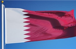 Điện mừng nhân kỷ niệm lần thứ 144 Quốc khánh Qatar