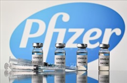 Pfizer bàn giao vaccine ngừa COVID-19 cho 8 quốc gia EU muộn hơn kế hoạch