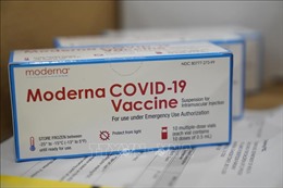 Giới chức quản lý dược phẩm châu Âu nhóm họp về cấp phép vaccine của Moderna