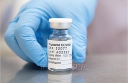 Dịch COVID-19: COVAX bắt đầu bàn giao vaccine trong tháng này 