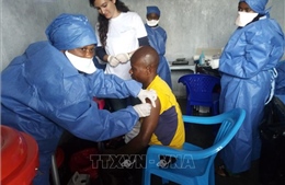Thành lập kho dự trữ khẩn cấp toàn cầu 500.000 liều vaccine ngừa virus Ebola