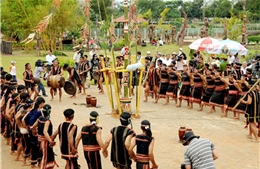 Tưng bừng lễ hội mừng lúa mới ở Bình Phước