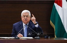 Tổng thống Palestine thảo luận với Ai Cập, Jordan về các cuộc bầu cử sắp tới