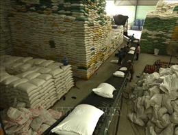 205 thương nhân đủ điều kiện kinh doanh xuất khẩu gạo