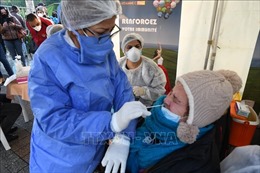 Tunisia, Palestine nhận được vaccine phòng COVID-19 đầu tiên theo COVAX