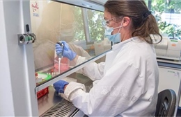 Trường ĐH Oxford thử nghiệm tiêm xen kẽ vaccine của các nhà sản xuất khác nhau