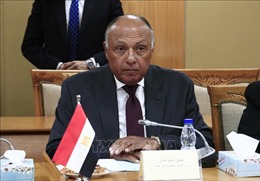 Ngoại trưởng Ai Cập: Palestine tiếp tục là vấn đề trọng tâm của thế giới Arab