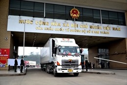 Mồng 1 Tết, xuất khẩu 190 tấn thanh long qua cửa khẩu Kim Thành 
