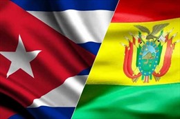 Cuba, Bolivia nối lại các hoạt động chính trị, kinh tế 