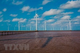 Đan Mạch ưu tiên hỗ trợ Việt Nam phát triển năng lượng xanh