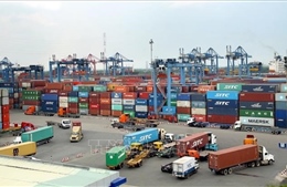 Cục Hàng hải Việt Nam lập tổ kiểm tra cước, phụ thu vận chuyển container