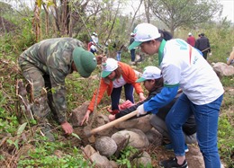 Lai Châu: Khởi động Tháng Thanh niên và hưởng ứng Tết trồng cây năm 2021