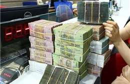 Nợ thuế ở TP Hồ Chí Minh chiếm hơn 9% số thu ngân sách được giao