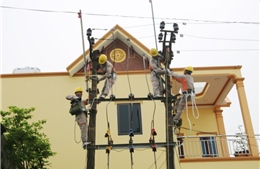 Xử lý kịp thời các trường hợp có nguy cơ gây sự cố cho hành lang lưới điện