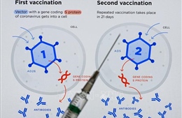 Bắc Macedonia tiếp nhận lô vaccine Sputnik V đầu tiên