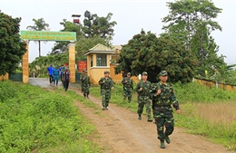 Tăng cường phối hợp, tuần tra và bảo vệ rừng tại khu vực biên giới