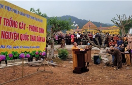 Học viện Phật giáo Việt Nam tại Hà Nội hưởng ứng sáng kiến trồng mới 1 tỷ cây xanh