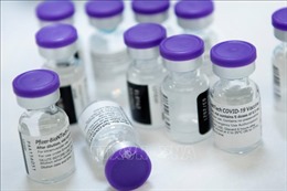 EU sẽ nhận được 200 triệu liều vaccine của Pfizer trong quý II