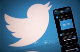 Nga dừng một phần biện pháp phạt Twitter