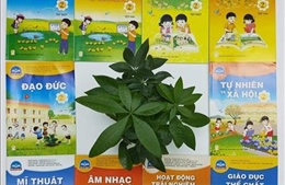 Nhà xuất bản Giáo dục Việt Nam công bố giá sách giáo khoa lớp 2, lớp 6 