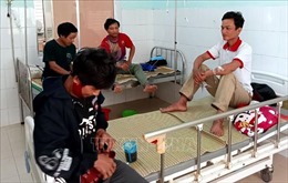 5 bệnh nhân ngộ độc nấm tại Quảng Nam đã dần ổn định sức khỏe