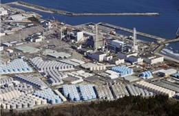 IAEA ủng hộ xả nước thải từ nhà máy điện hạt nhân Fukushima ra biển