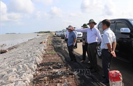 Khảo sát tiến độ khắc phục sụt lún, sạt lở đất tại huyện Trần Văn Thời