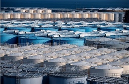 Nhật Bản: Hàn Quốc có thể tham gia giám sát xả thải từ nhà máy Fukushima