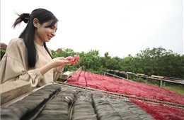 Đưa nông sản Việt đến thị trường thế giới - Bài 2: Giữ vững và phát triển nông sản được bảo hộ