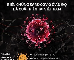 Biến chủng SARS-CoV-2 ở Ấn Độ đã xuất hiện tại Việt Nam