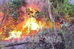 Cháy rừng tại Thừa Thiên – Huế gây nguy hiểm cho đường dây truyền tải điện 500 kV