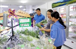 &#39;Giấy thông hành&#39; cho sản phẩm nông nghiệp sạch Nam Định