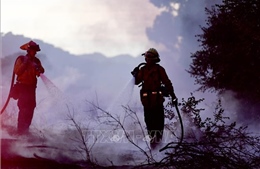 Mỹ: Hàng trăm người sơ tán do cháy rừng lớn tại bang Arizona