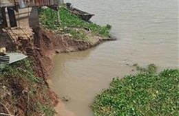 An Giang: Ban bố tình huống khẩn cấp sạt lở bờ Đông sông Châu Đốc