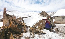 Giải cứu thành công 27 người di cư mắc kẹt trong tuyết trên dãy núi Andes