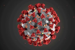 Giới khoa học Anh khuyến nghị bào chế loại vaccine thế hệ mới có thể chống tất cả virus corona